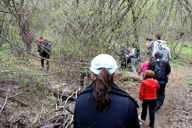 Edosk Yine Doğada