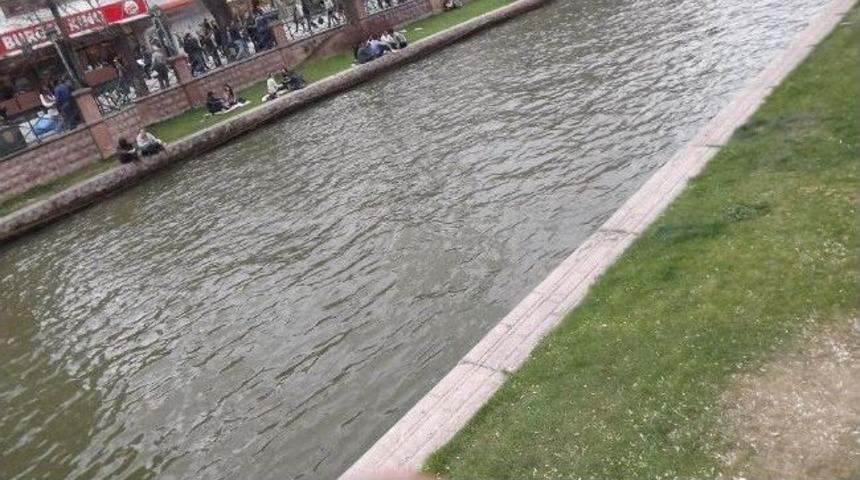 Porsuk Kıyısındaki &Ccedil;imenler &Ccedil;ekirdek A&ccedil;tı