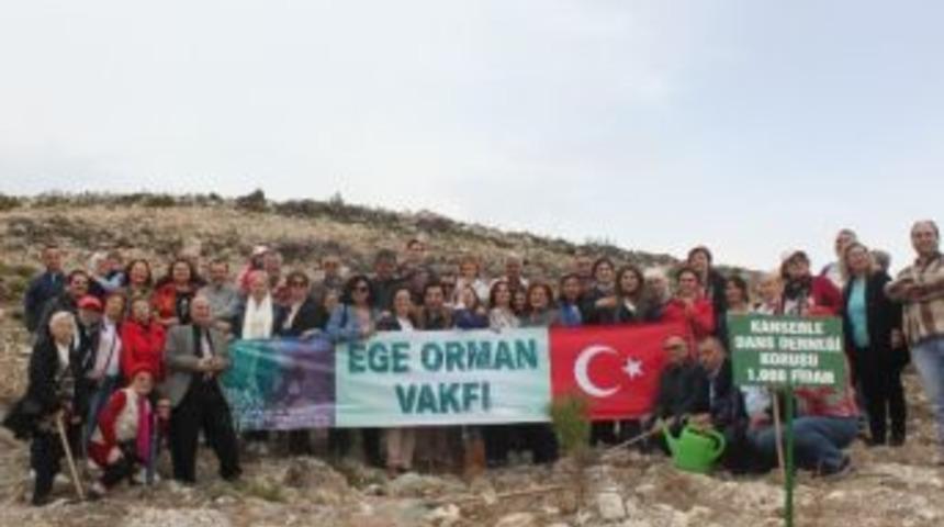 Notalar 1000 Fidanlık "kanserle Dans Derneği Korusu" Oldu