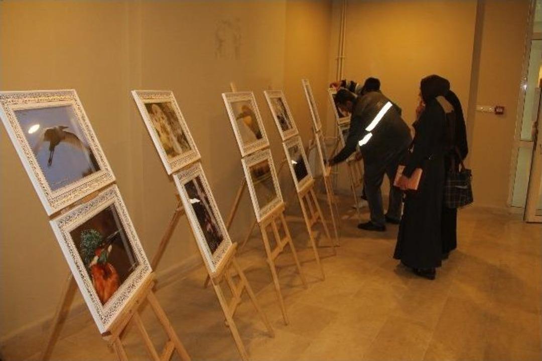 Ağrı Dağı Yabancı &Ouml;ğrencilere Tanıtıldı