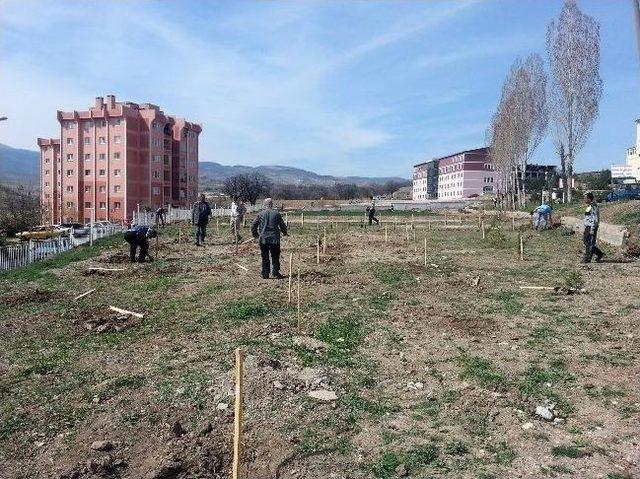 Gediz Ticaret Meslek Lisesi’nde Ağaç Dikme Şenliği Yapıldı