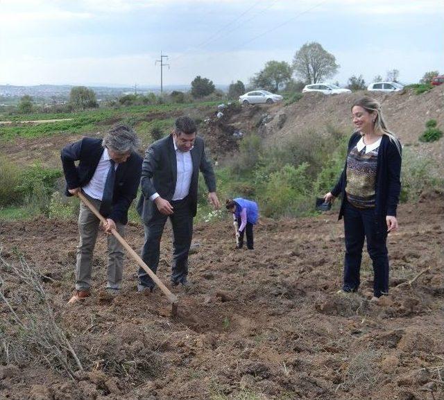 Biga Devlet Hastanesi Çalışanları Fidan Dikti