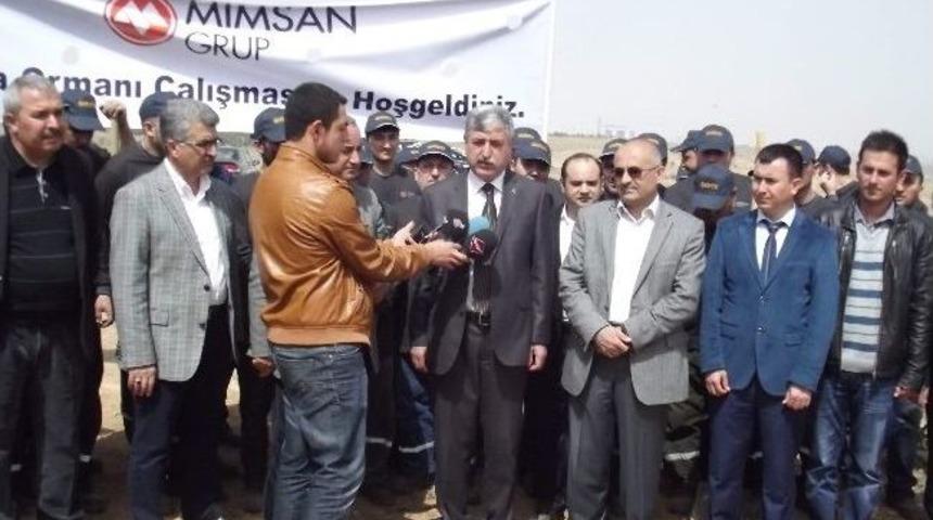 Hatıra Ormanı&rsquo;na 5 Bin Fidan Dikildi