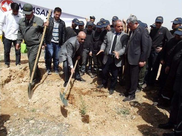 Hatıra Ormanı&rsquo;na 5 Bin Fidan Dikildi 1