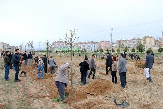 Kmü’de Bin 850 Fidan Toprakla Buluşturuldu 1