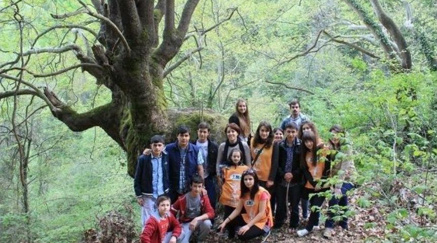 Temacılardan Doğa Y&uuml;r&uuml;y&uuml;ş&uuml;