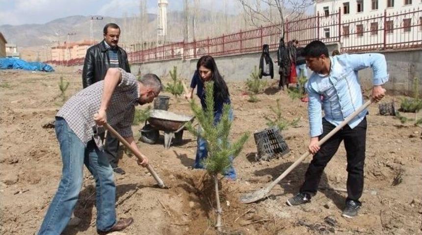 Oltu Yer Bilimleri Fak&uuml;ltesi Kampus Alanı Ağa&ccedil;landırılıyor