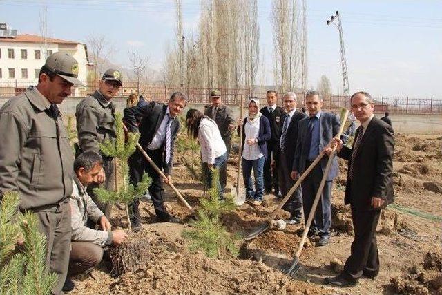 Oltu Yer Bilimleri Fak&uuml;ltesi Kampus Alanı Ağa&ccedil;landırılıyor 1