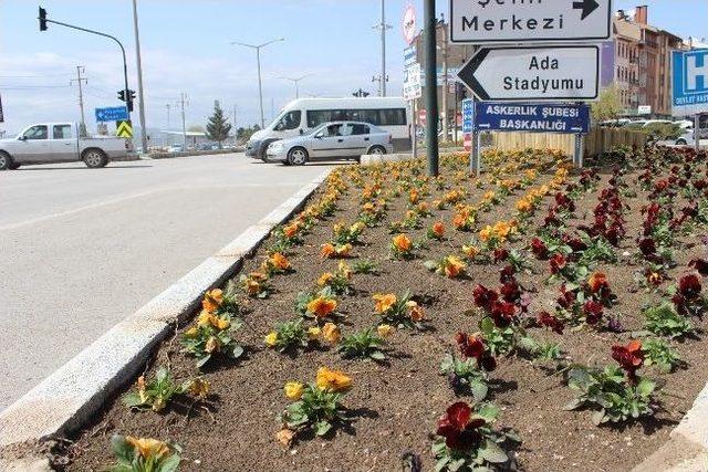 Tavşanlı&rsquo;ya Bahar Geldi 1