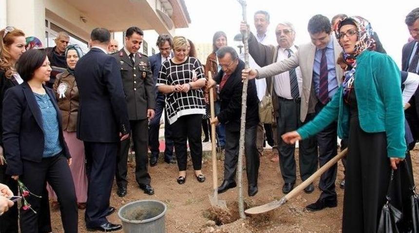C&uuml;&rsquo;de Kanser Hastaları İ&ccedil;in Etkinlik D&uuml;zenlendi