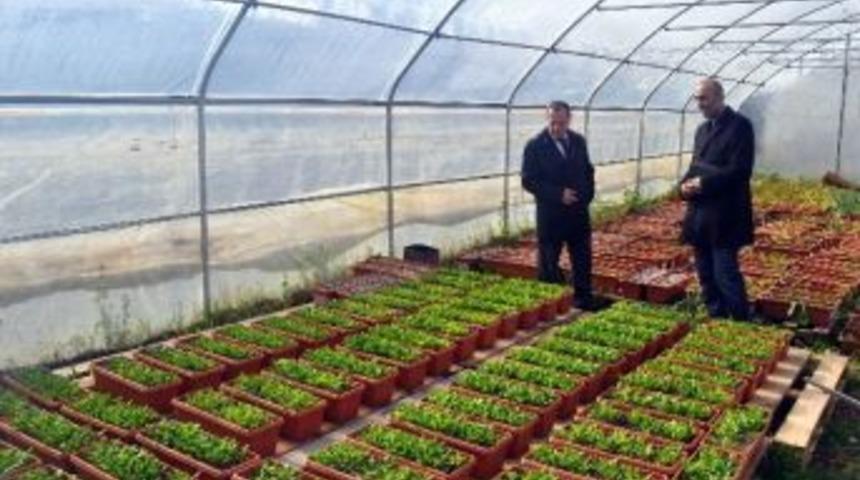 Odü Rektörü Yarılgaç, Ziraat Fakültesi Araştırma Ve Uygulama Arazisini İnceledi