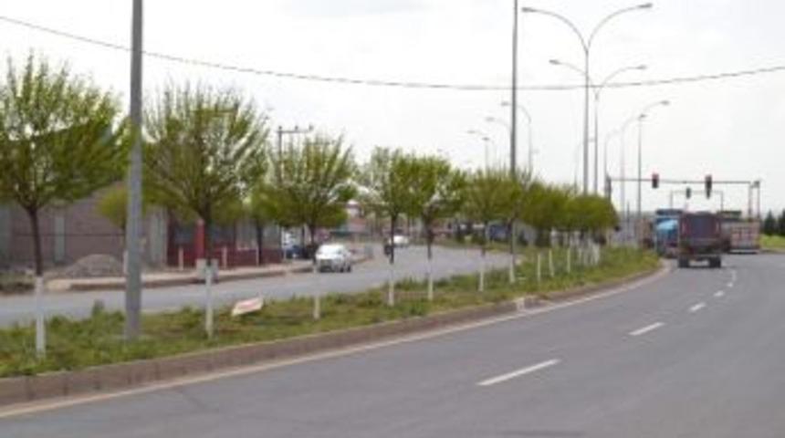 Hilvan&rsquo;da Ağa&ccedil;lara Bahar Bakımı