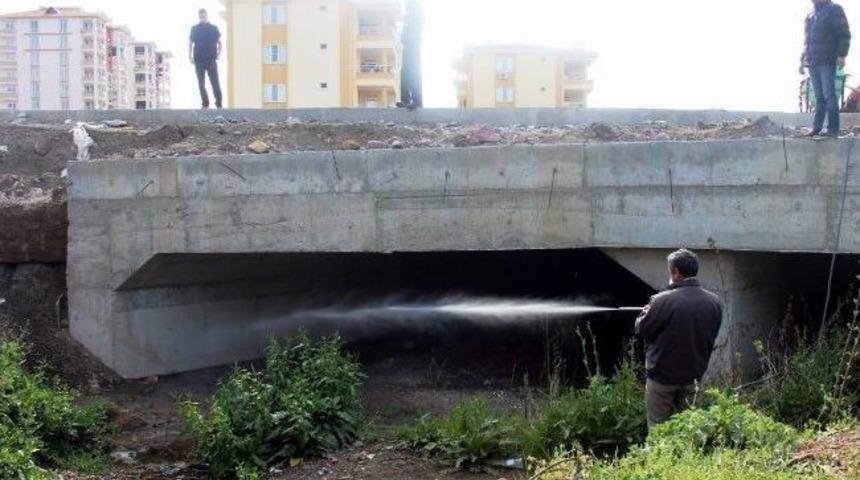 Edremit&rsquo;te Sineksiz Yaz İ&ccedil;in Amansız M&uuml;cadele