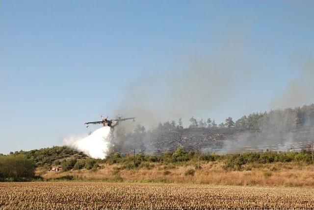 Yatağan Orman İşletmeden Öğrencilere Eğitim 1