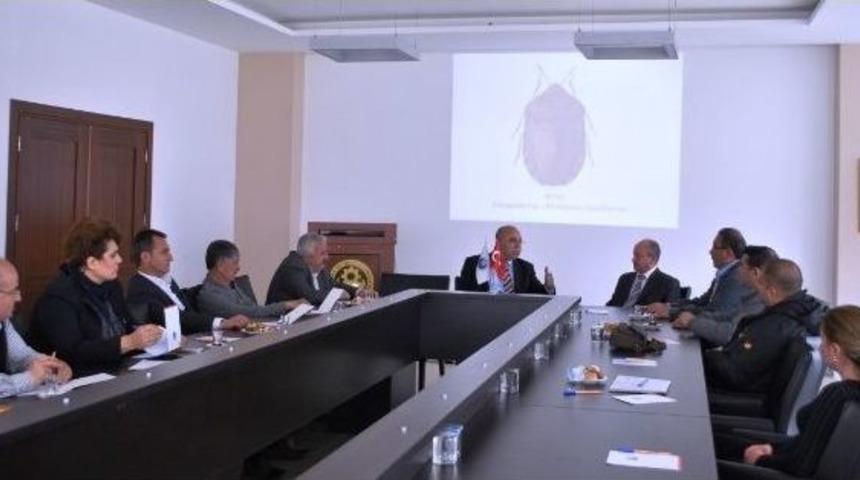 S&uuml;ne İle M&uuml;cadele Toplantısı Yapıldı