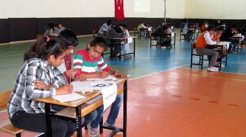 Araban&rsquo;da Ortaokullar Arası Bilgi Yarışması D&uuml;zenlendi