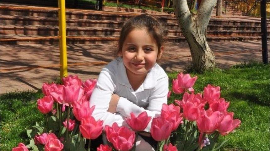 Gkv&rsquo;liler İlkbaharı Lalelerle Karşıladı