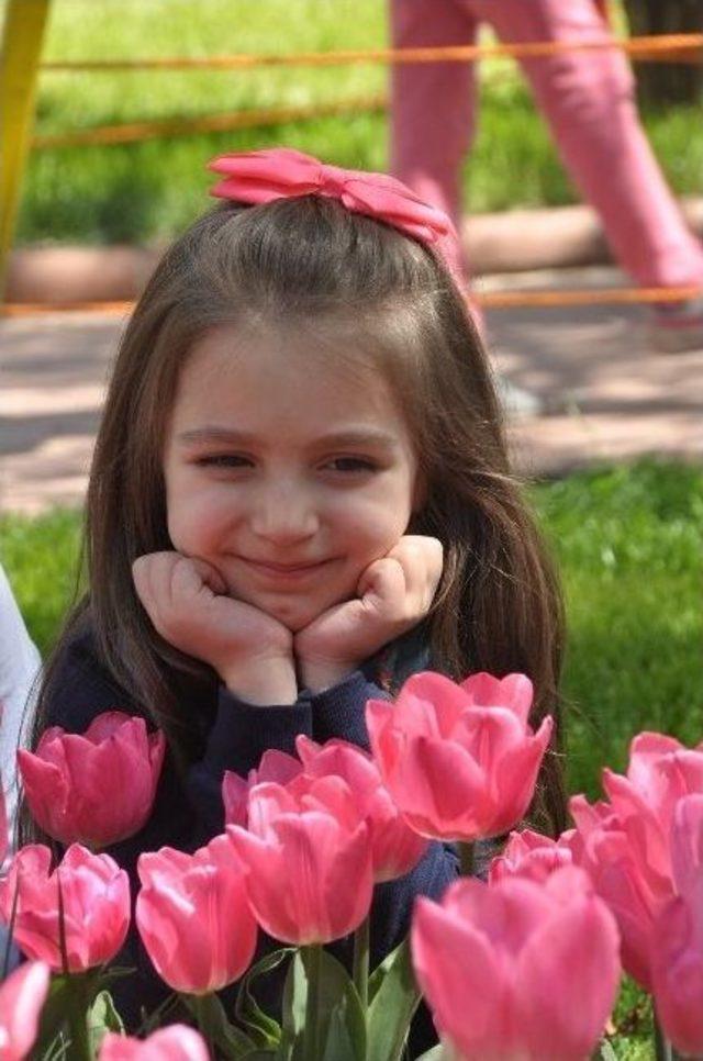 Gkv&rsquo;liler İlkbaharı Lalelerle Karşıladı 1