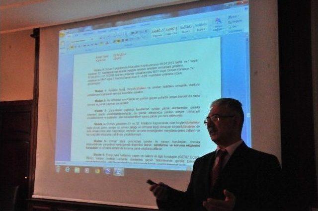 Manisa ya Yangına Dayanıklı Orman Tesisi Yapılacak 1