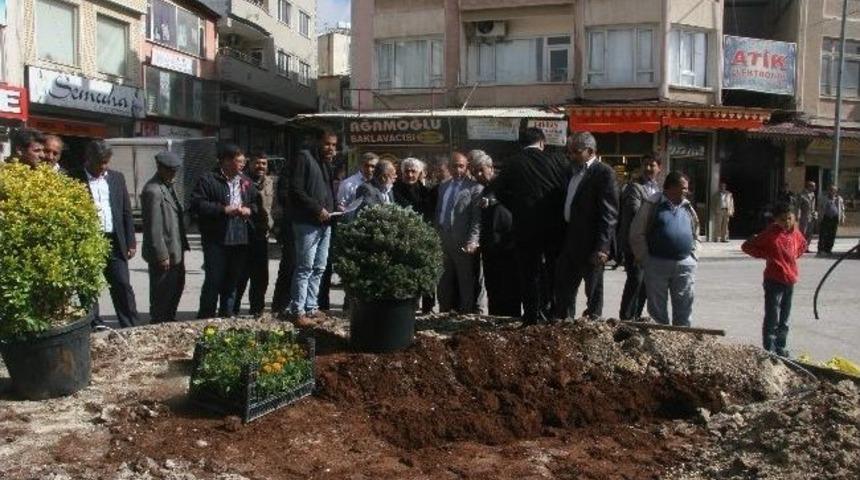 &ldquo;ucube&rdquo; Kaldırılarak Yeri Ağa&ccedil;landırılmaya Başladı