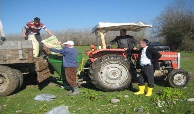 Meralara G&uuml;bre Atıldı 1