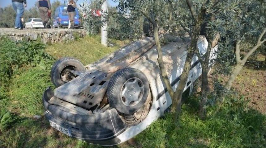 Virajı Alamayınca Zeytinliğe U&ccedil;tu