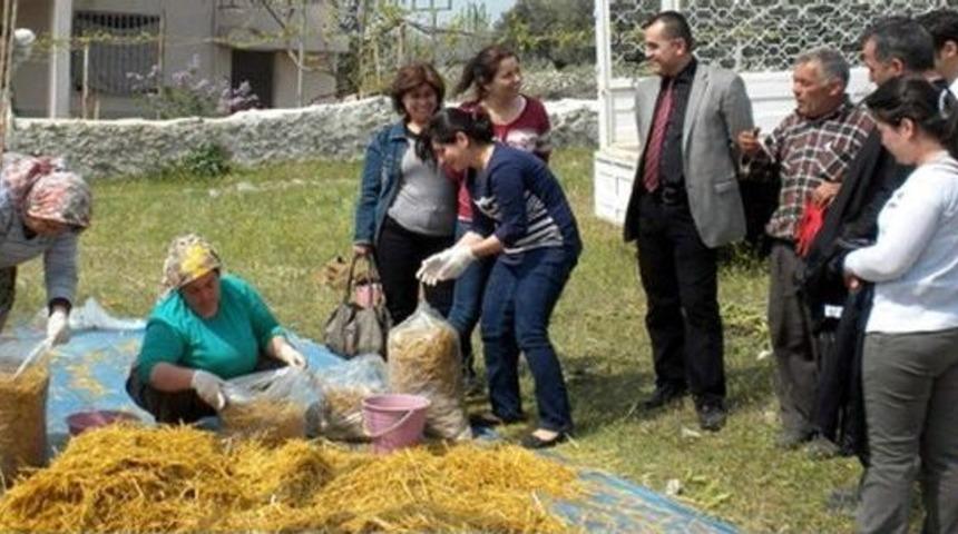 Aydın&rsquo;da Kadın &Ccedil;ift&ccedil;iler Kayın Mantarı &Uuml;retecek
