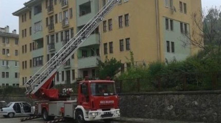 Mahsur Kalan Karganın İmdadına İtfaiye Yetişti