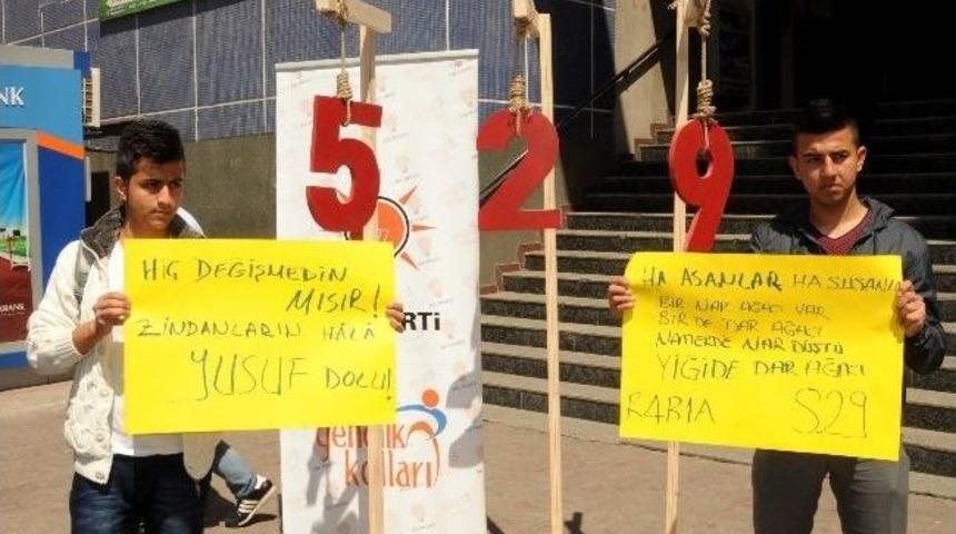 Mısır İ&ccedil;in İmza Kampanyası