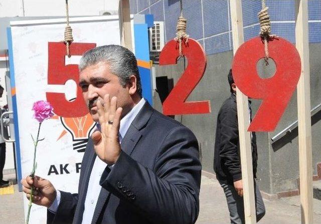 Mısır İ&ccedil;in İmza Kampanyası 1