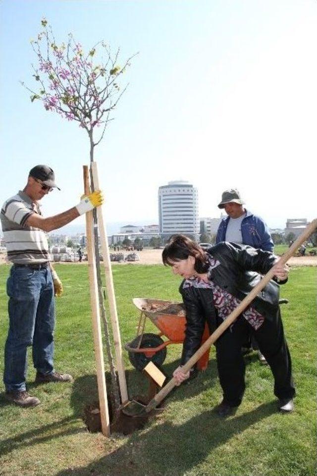 Paü Kınıklı Kampusüne Bin 560 Fidan Dikilecek