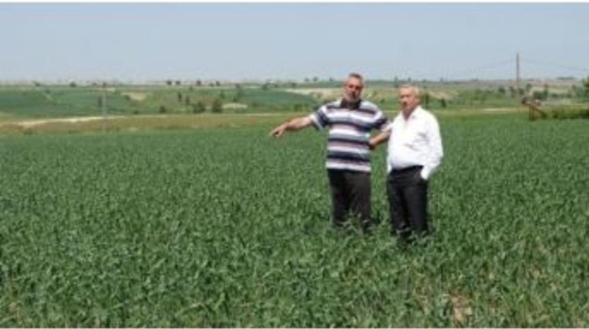 &Ccedil;erkezk&ouml;y Ziraat Odası Başkanı Hasan Toprak: "&ccedil;ift&ccedil;i Umutlu"