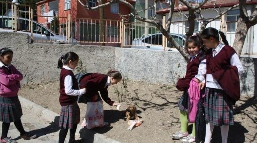 Ara&ccedil; &Ccedil;arpan Pamuk&rsquo;a &Ccedil;ocuklar Sahip &Ccedil;ıktı
