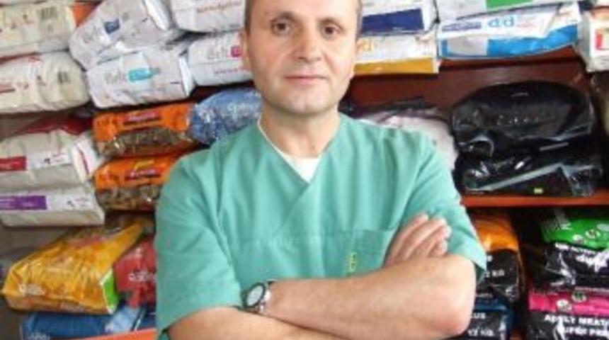 Veteriner Hekimler Odasından &lsquo;kene&rsquo; Uyarısı