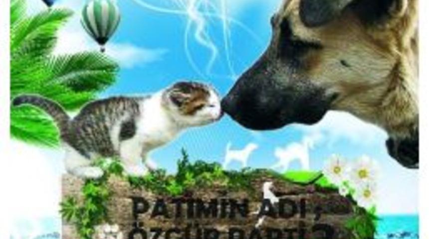 Sokak Hayvanları İ&ccedil;in Mama Partisi