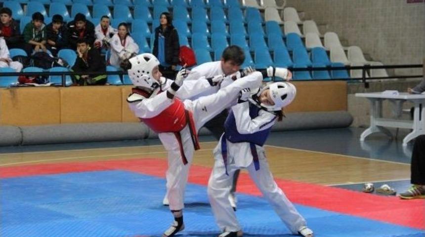 Yıldız Taekwondocular Erzincan&rsquo;da