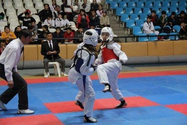 Yıldız Taekwondocular Erzincan’da