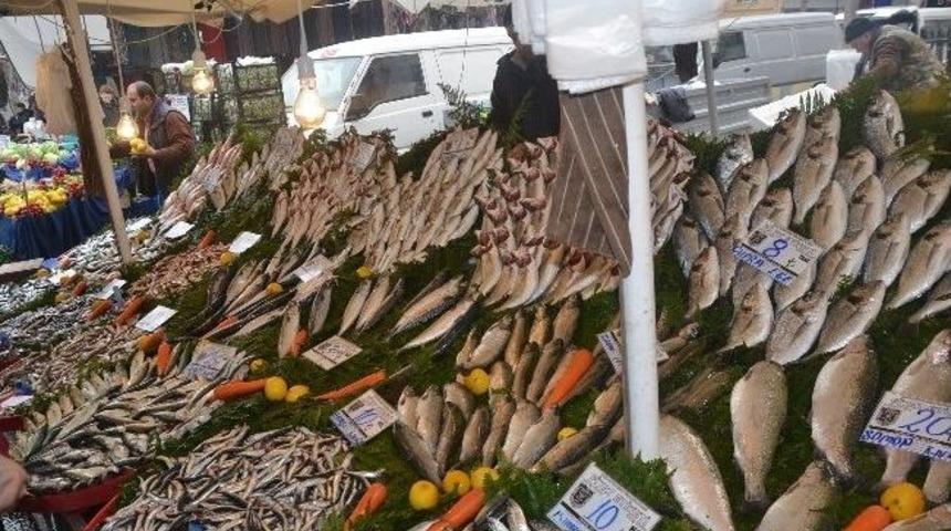 Balık Sezonu Kapanıyor