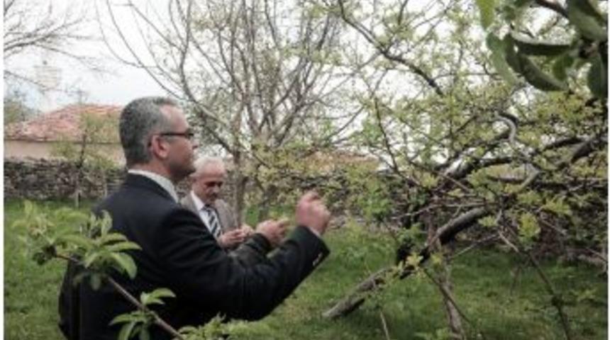 Yozgat&rsquo;ta Don Olaylarından Zarar G&ouml;ren Tarım Alanlarından Zarar Tespit &Ccedil;alışmaları S&uuml;r&uuml;yor