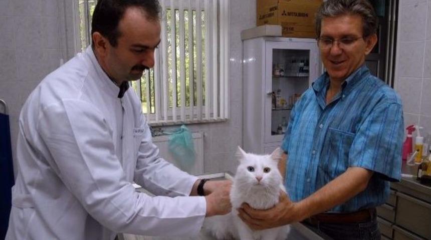 Büyükşehir’den Ücretsiz Kuduz Aşısı