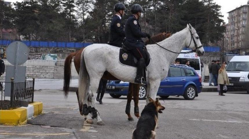 &ldquo;&ccedil;izi&rdquo; Adlı K&ouml;pek, Atlı Polis Birlikleriyle Beraber Asayişi Sağlıyor