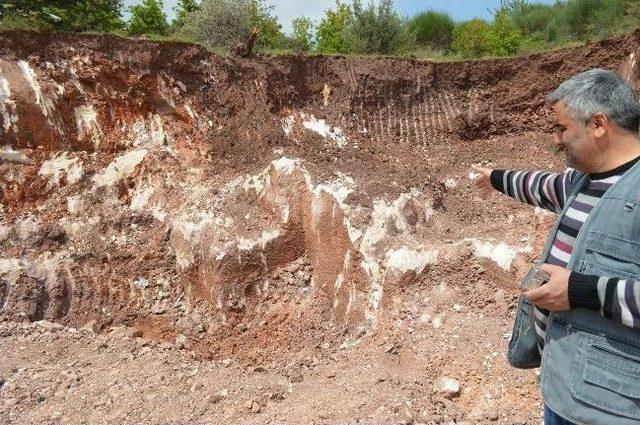 Hafriyatta Sunak &Ccedil;ıktı 1