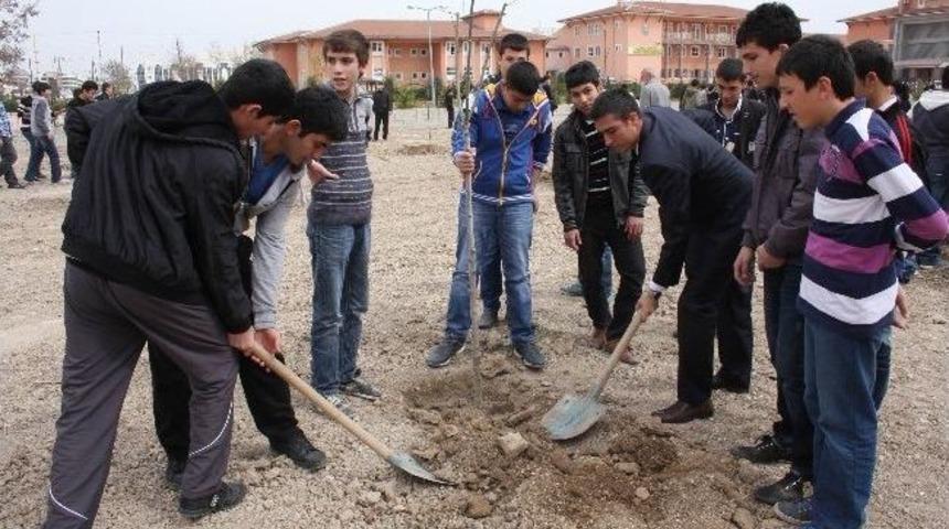 Karatay&rsquo;da Ağa&ccedil; Dikim Şenliği