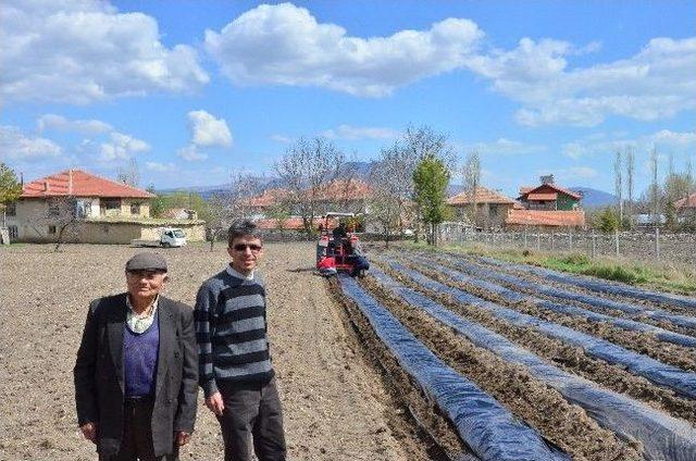 Isparta Organik Tarımda Atağa Geçti