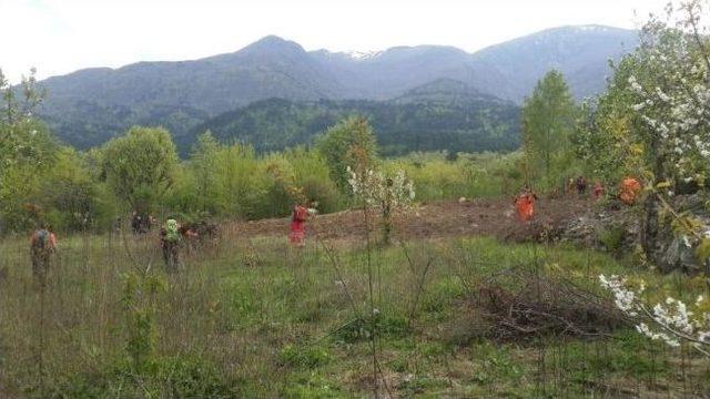 Yaşlı Aramı Arama Seferberliği Sürüyor