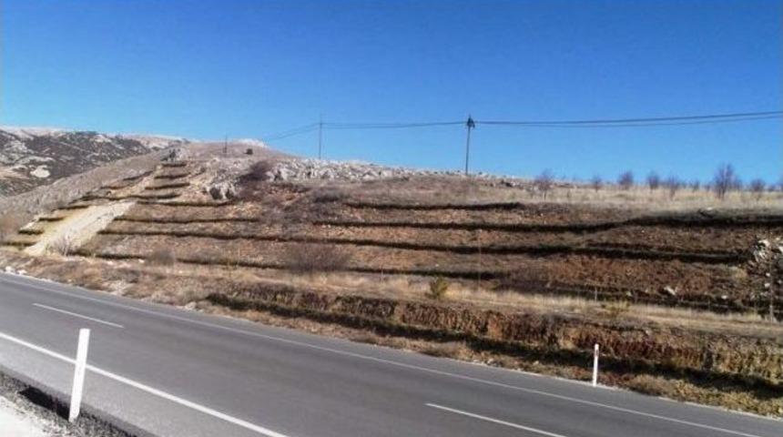 Afyonkarahisar&rsquo;daki Karayollarında Ağa&ccedil;landırma Seferberliği Başladı