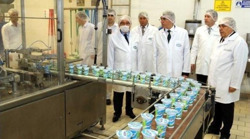 Vali Ataklı S&uuml;taş&rsquo;ı Ziyaret Etti