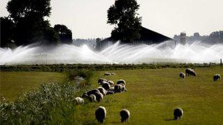 Yıllar sonra bir ilk, yağmur duasına çıktılar