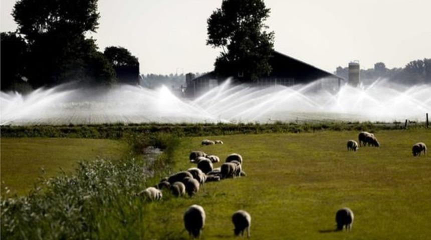 Yıllar sonra bir ilk, yağmur duasına çıktılar