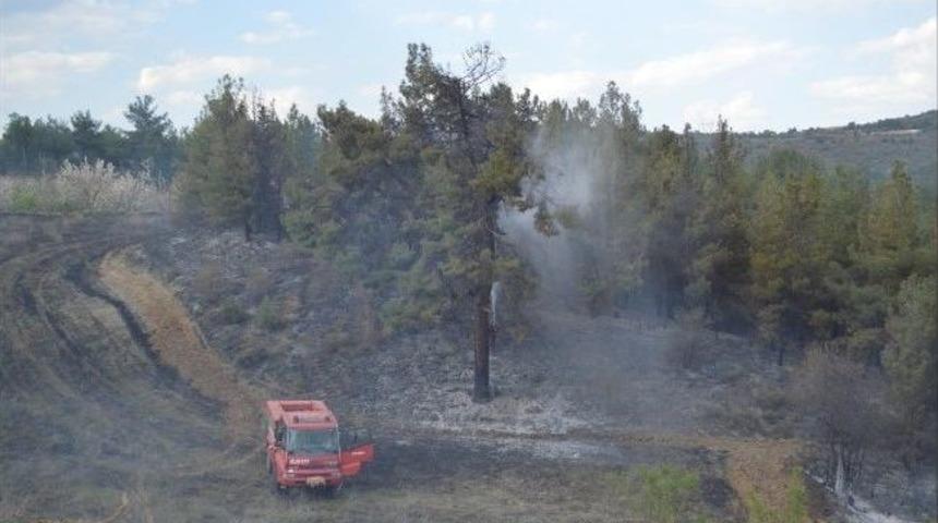 Bilecik'te Orman Yangını